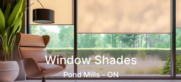  Window Shades Pond Mills - ON