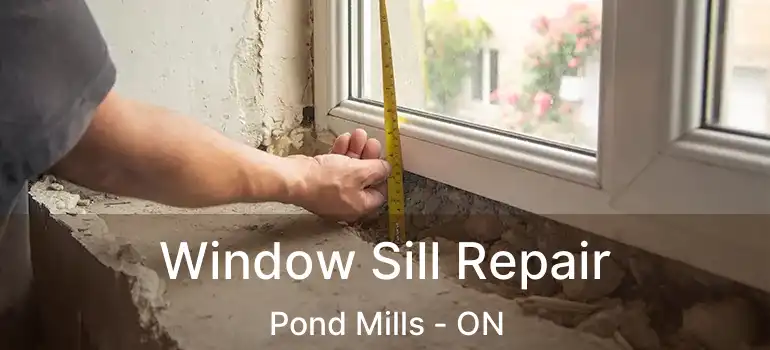  Window Sill Repair Pond Mills - ON