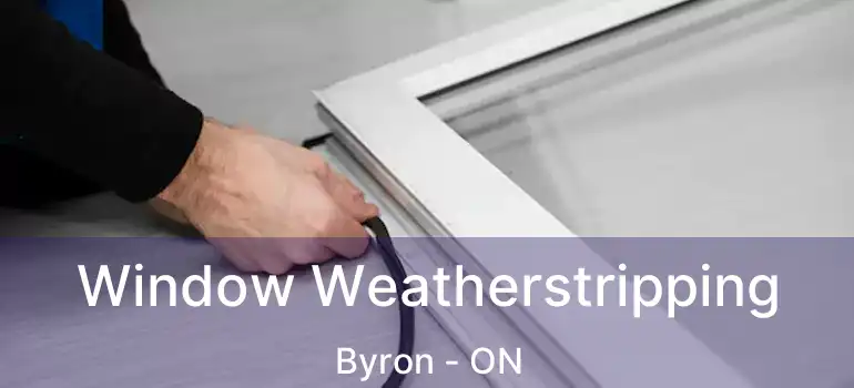 Window Weatherstripping Byron - ON