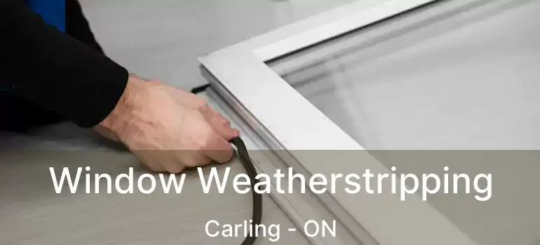  Window Weatherstripping Carling - ON