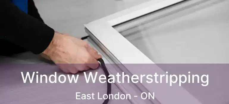  Window Weatherstripping East London - ON