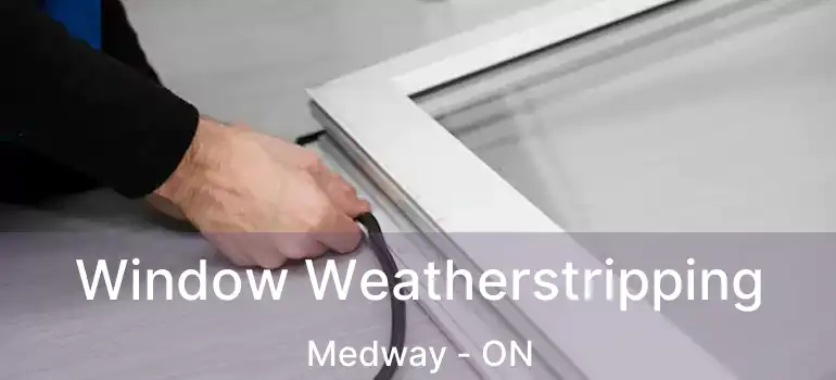  Window Weatherstripping Medway - ON