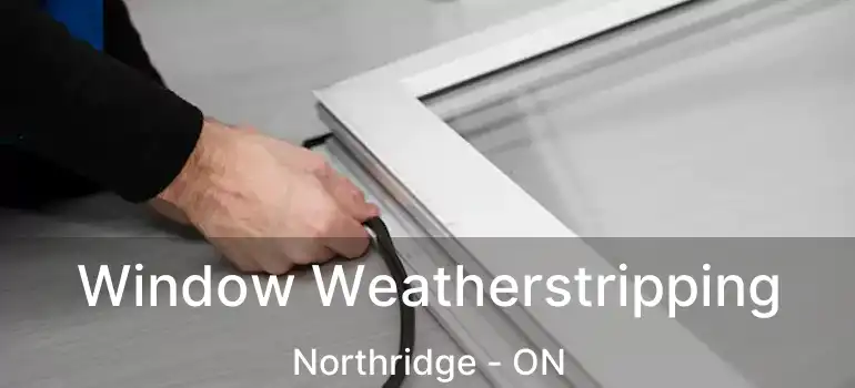  Window Weatherstripping Northridge - ON