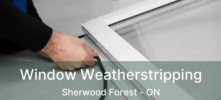  Window Weatherstripping Sherwood Forest - ON