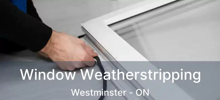  Window Weatherstripping Westminster - ON