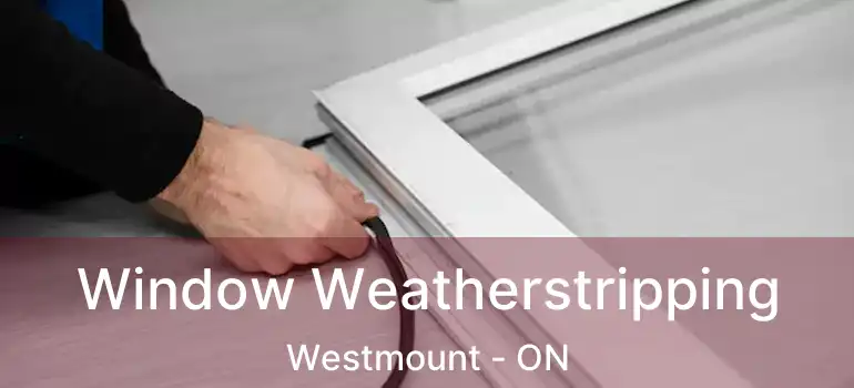  Window Weatherstripping Westmount - ON