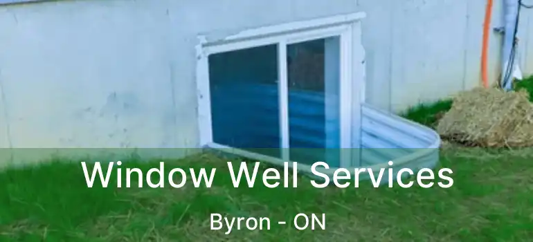  Window Well Services Byron - ON