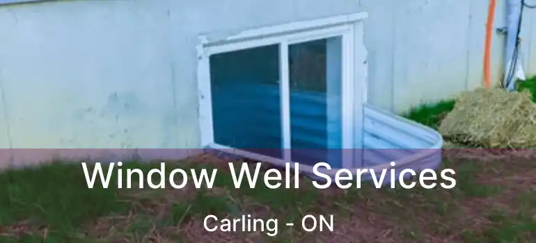  Window Well Services Carling - ON