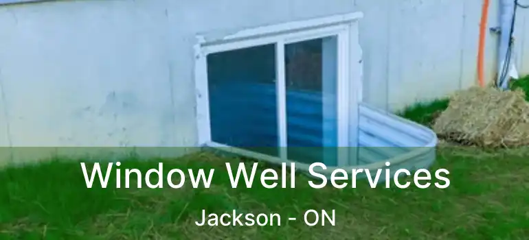  Window Well Services Jackson - ON