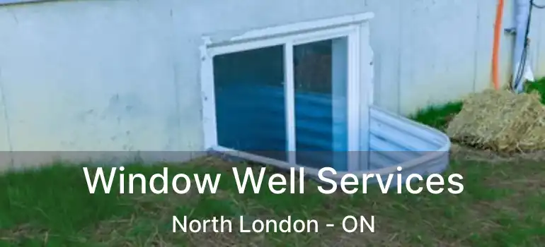  Window Well Services North London - ON