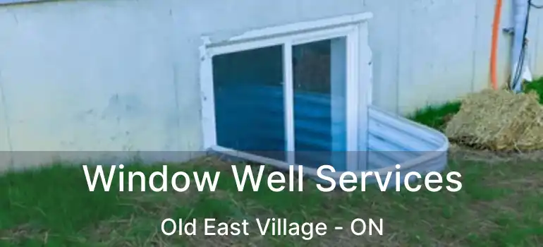  Window Well Services Old East Village - ON