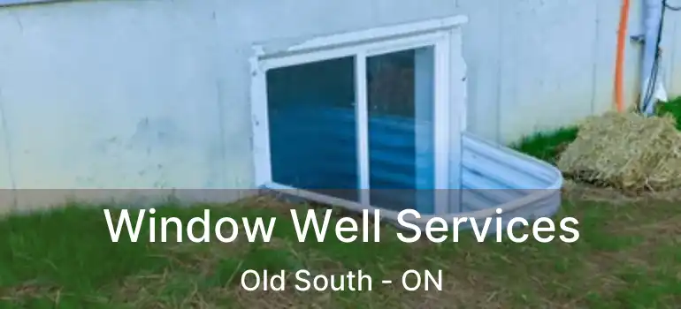  Window Well Services Old South - ON