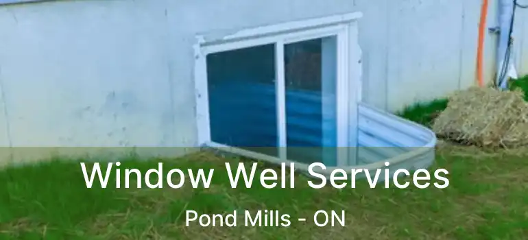  Window Well Services Pond Mills - ON