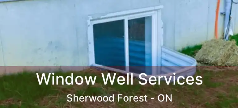  Window Well Services Sherwood Forest - ON