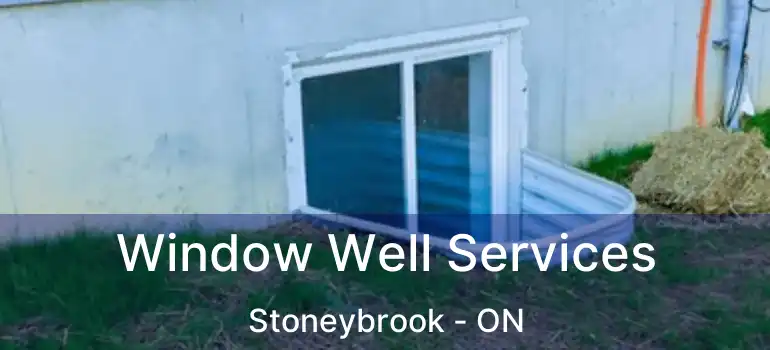  Window Well Services Stoneybrook - ON