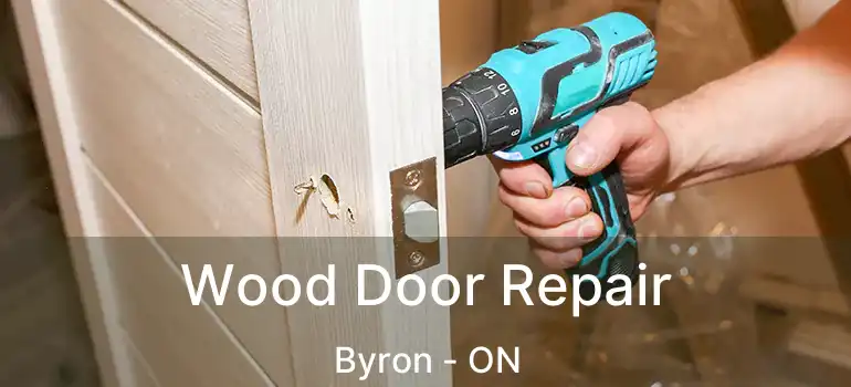  Wood Door Repair Byron - ON