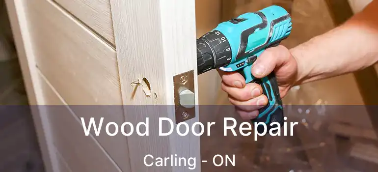  Wood Door Repair Carling - ON