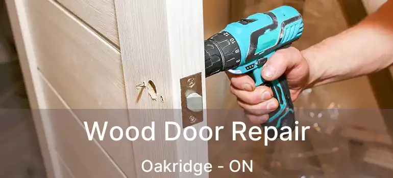  Wood Door Repair Oakridge - ON