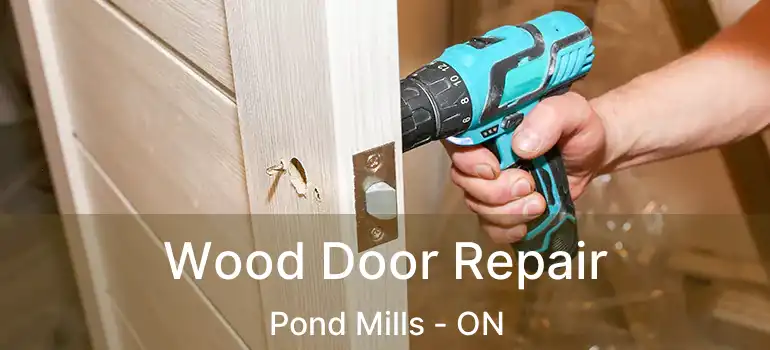  Wood Door Repair Pond Mills - ON