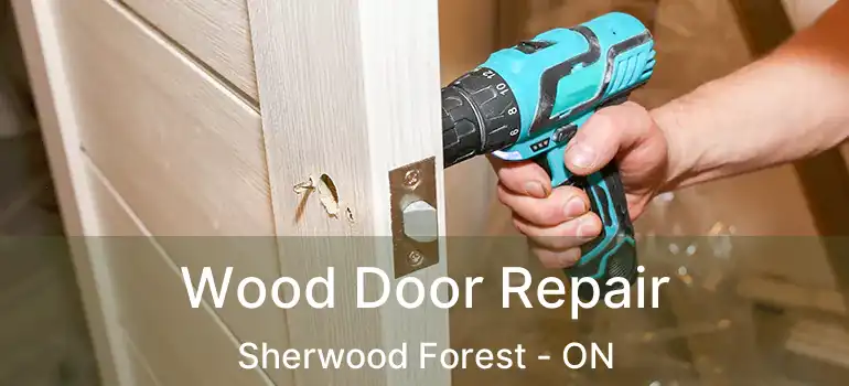  Wood Door Repair Sherwood Forest - ON