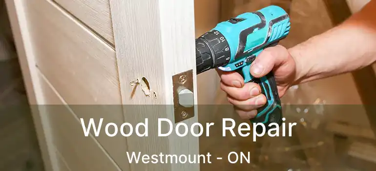  Wood Door Repair Westmount - ON