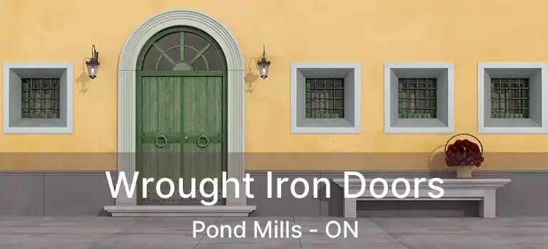  Wrought Iron Doors Pond Mills - ON